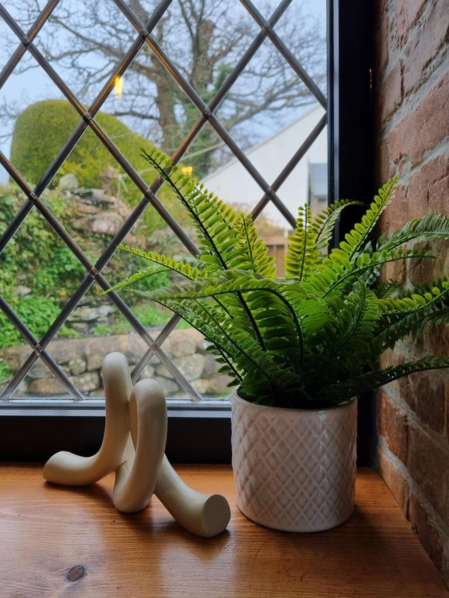 Green Cottage - Snowdonia Llanllechid المظهر الخارجي الصورة
